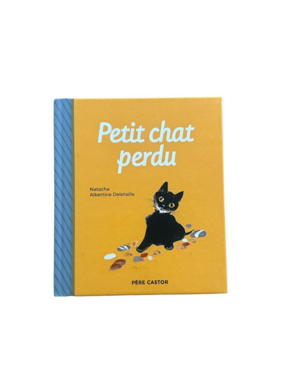 Le petit chat perdu\PS