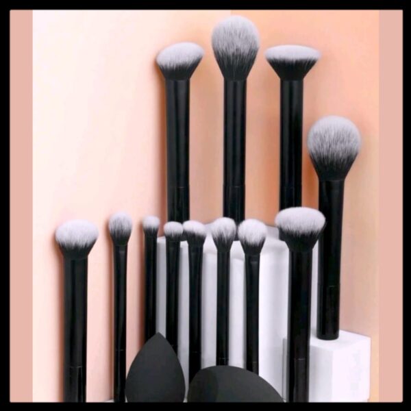 Professional Makeup Brush Set