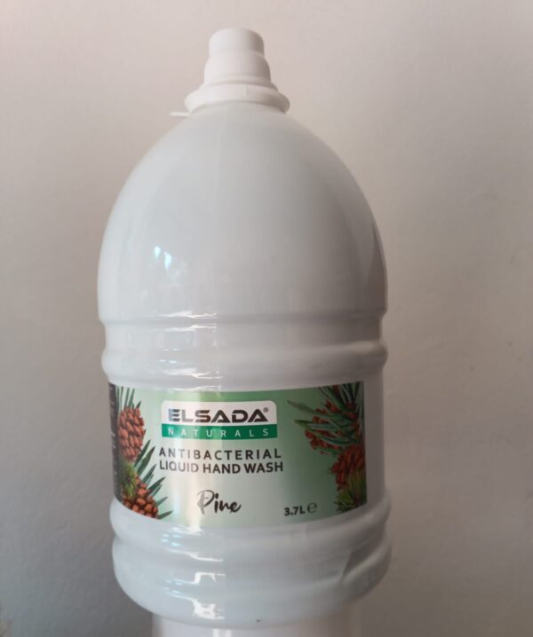 Elsada Antibacterial Liquid Hand Wash