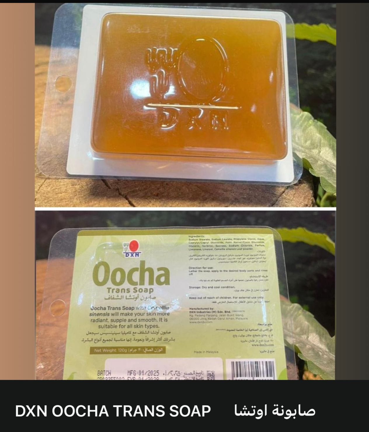 DXN oocha trans soap صابونة اوتشا