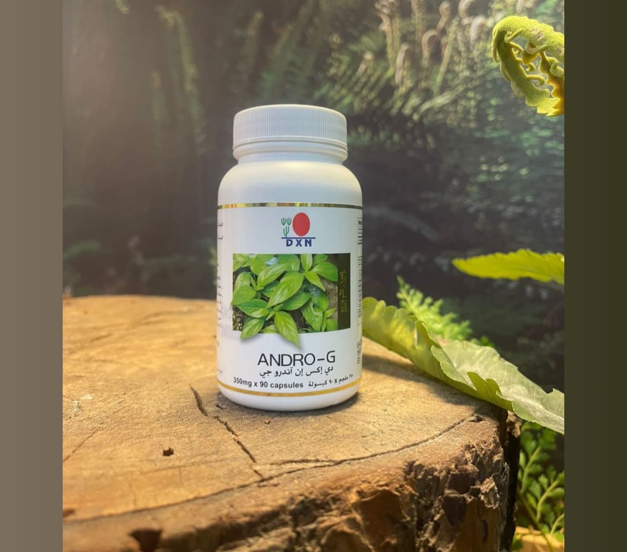 DXN Andro-G Capsules