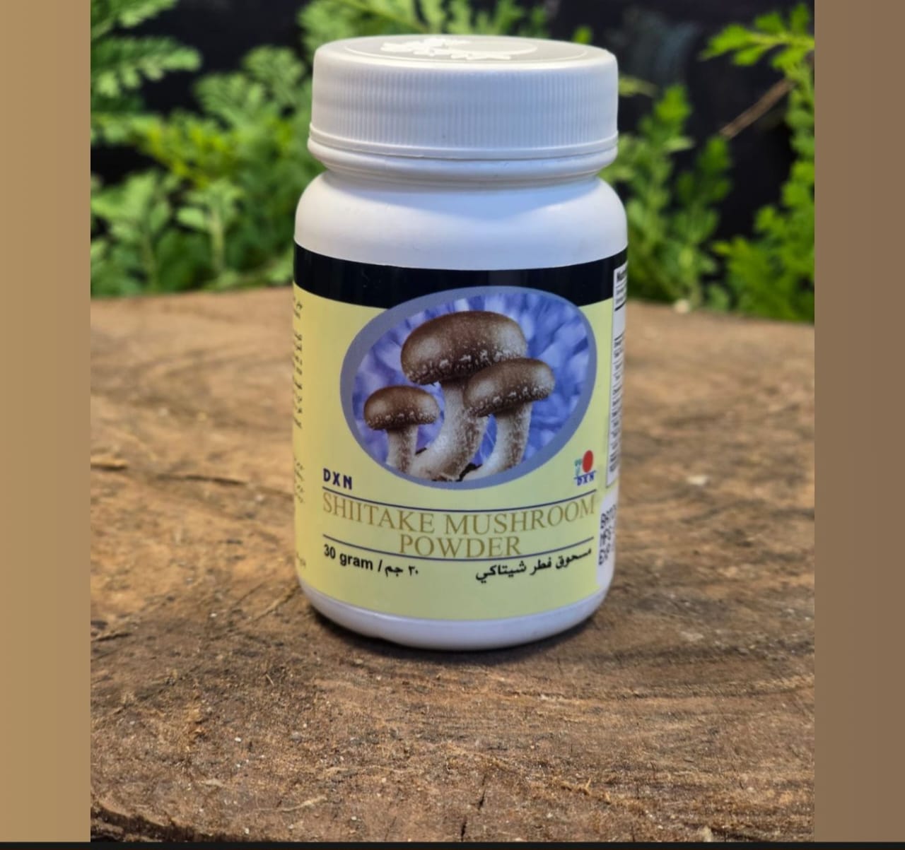 DXN Shiitake Mushroom Powder